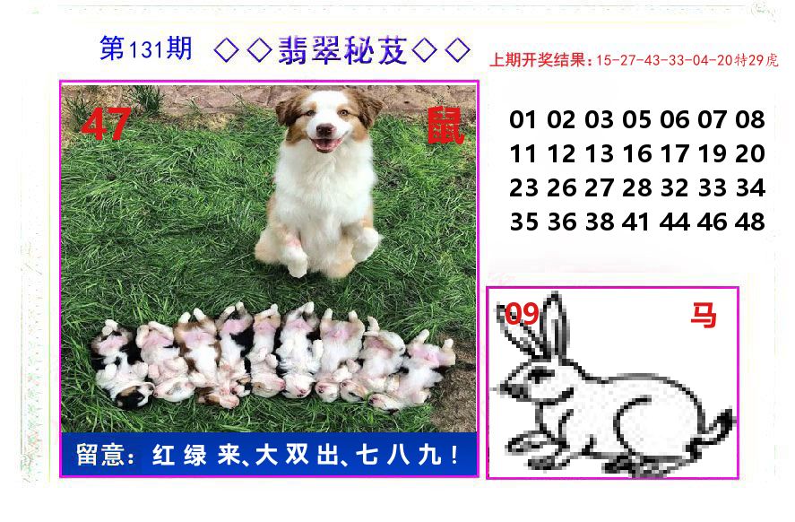 翡翠秘芨 第131期