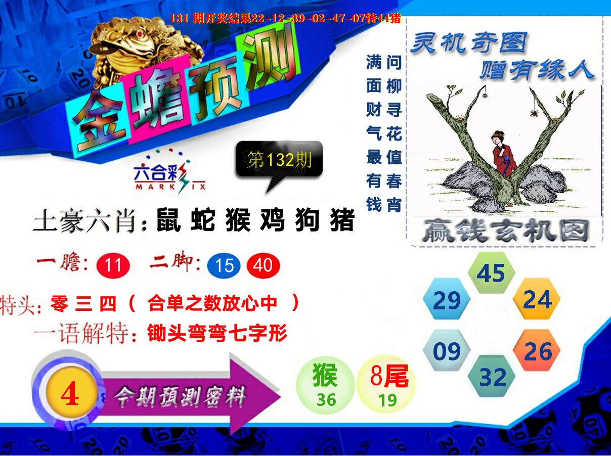 金蟾预测 第132期