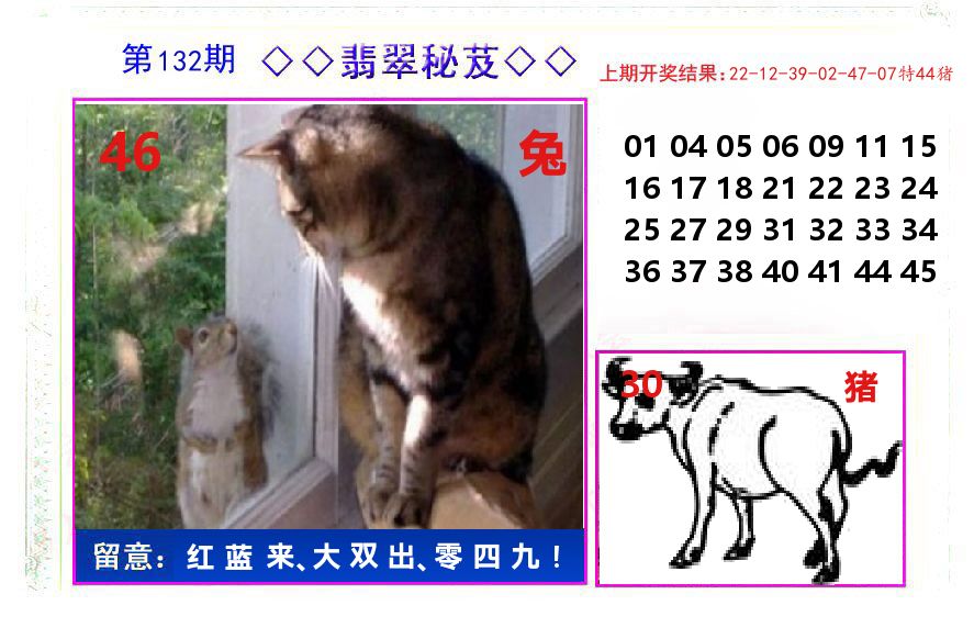 翡翠秘芨 第132期