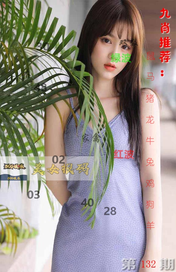 美女报码 第132期
