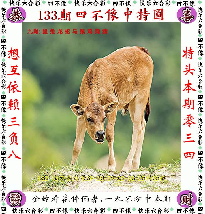 四不像 第133期