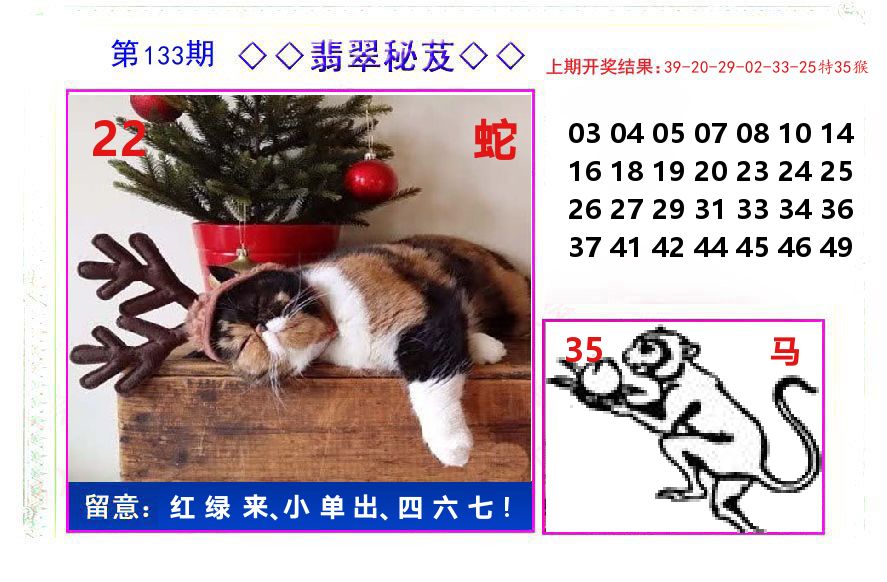 翡翠秘芨 第133期