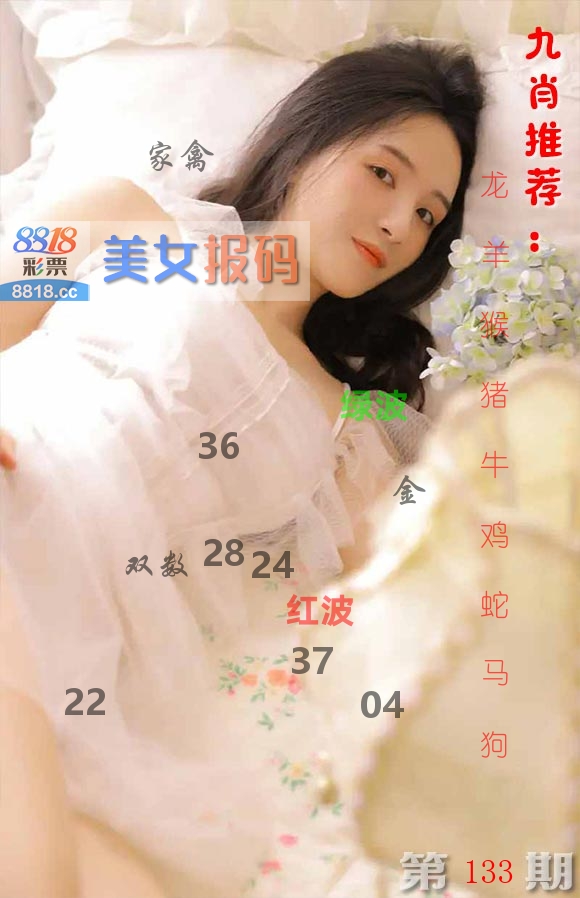 美女报码 第133期