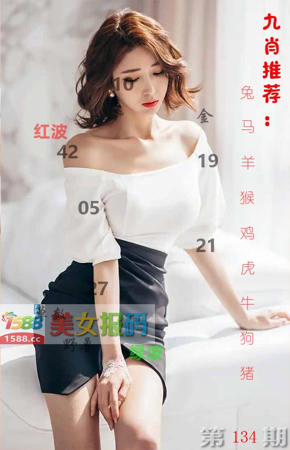 美女报码 第134期