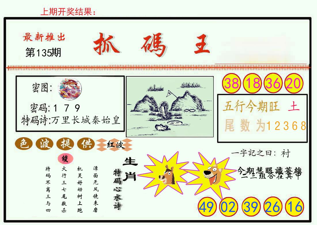 最新抓码王 第135期