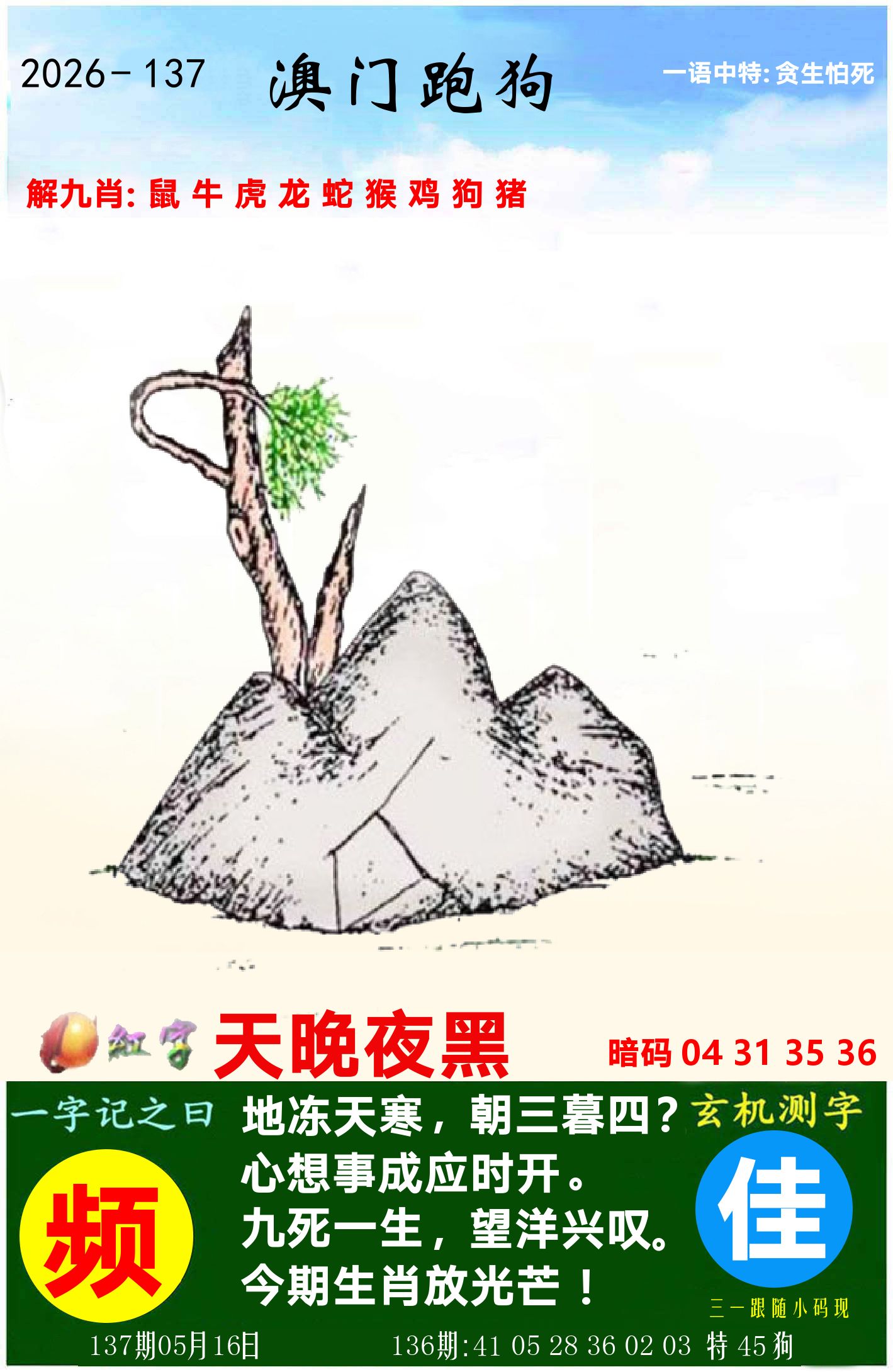 澳门跑狗图 第137期