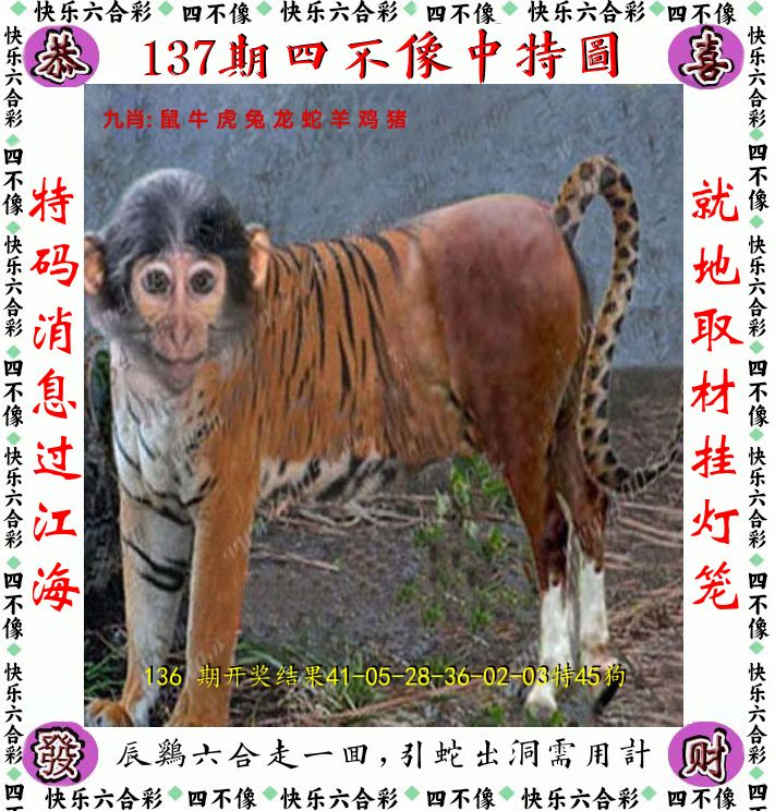 四不像 第137期