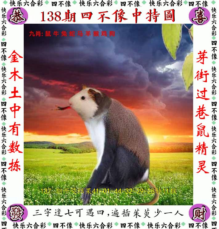 四不像 第138期