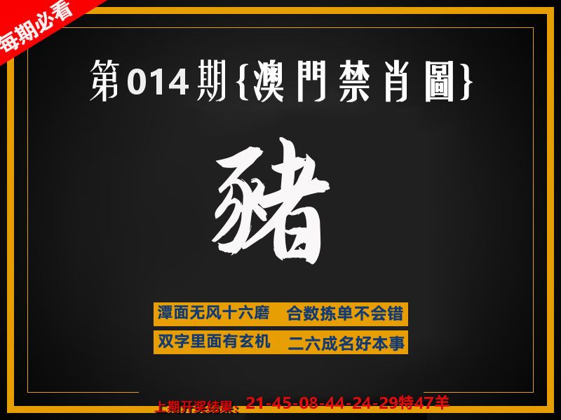 茶湾港料《彩》 第14期