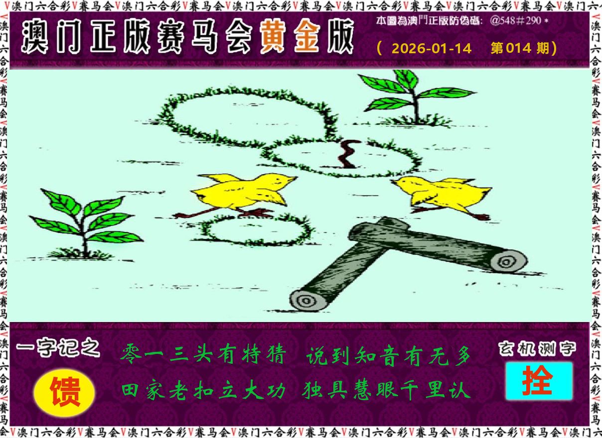 赛马会黄金版 第14期