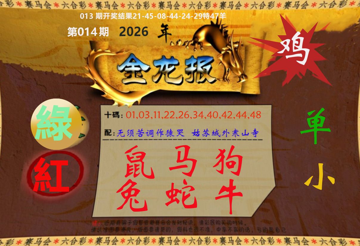 金龙报 第14期