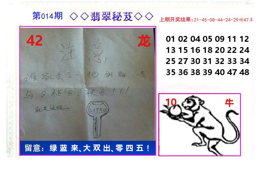 翡翠秘芨 第14期