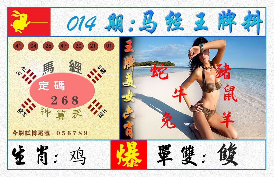 澳门王牌料 第14期