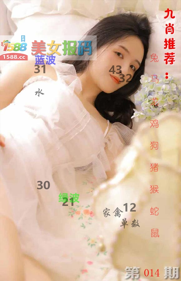 美女报码 第14期