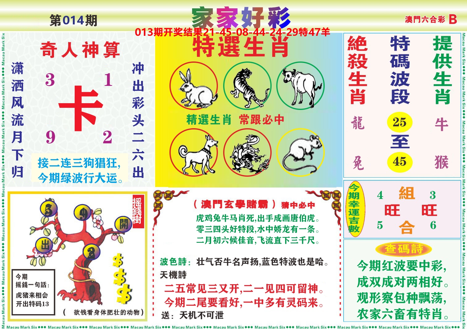 家家好彩B 第14期