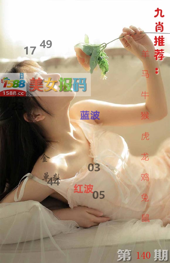美女报码 第140期