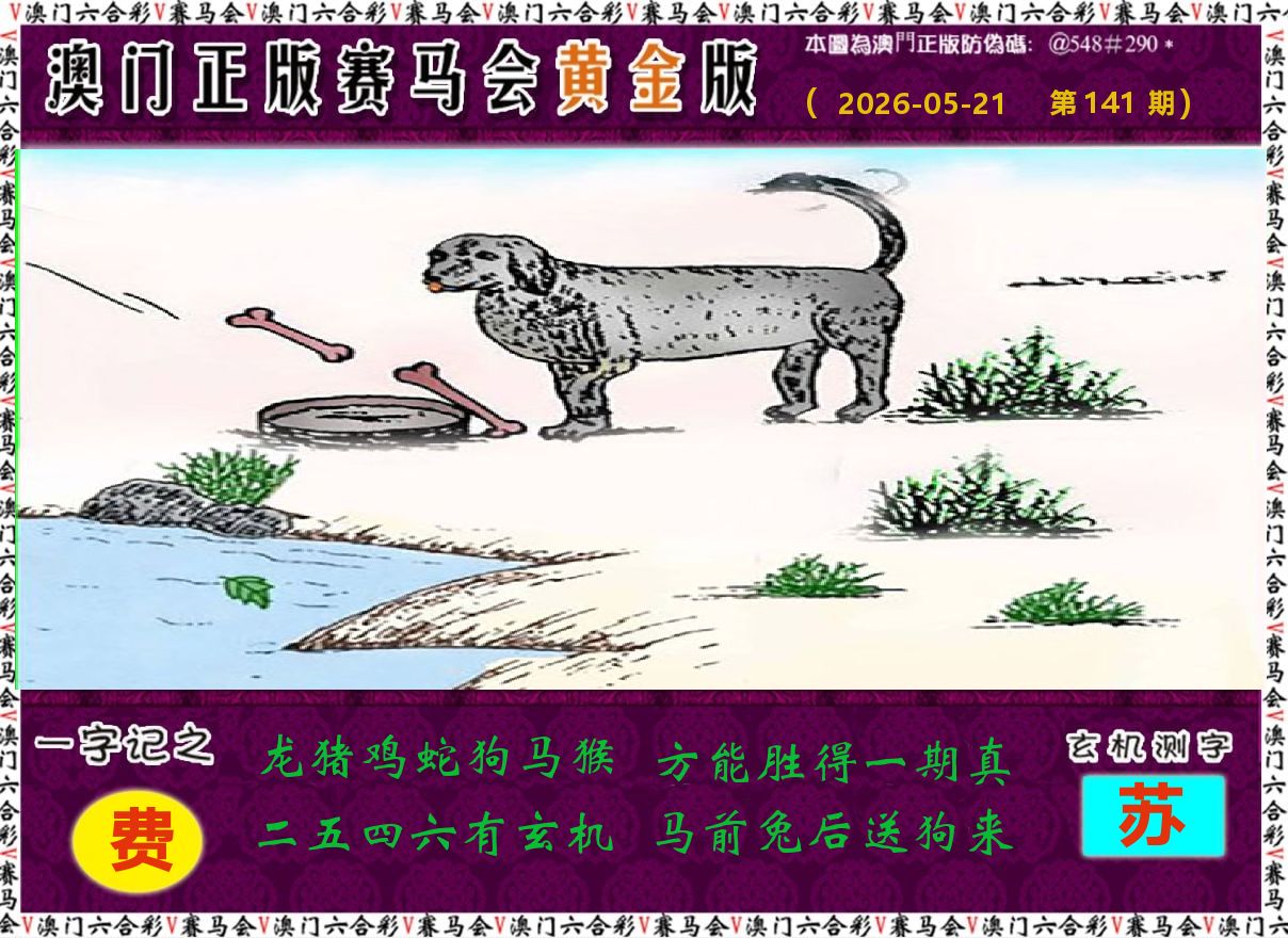 赛马会黄金版 第141期