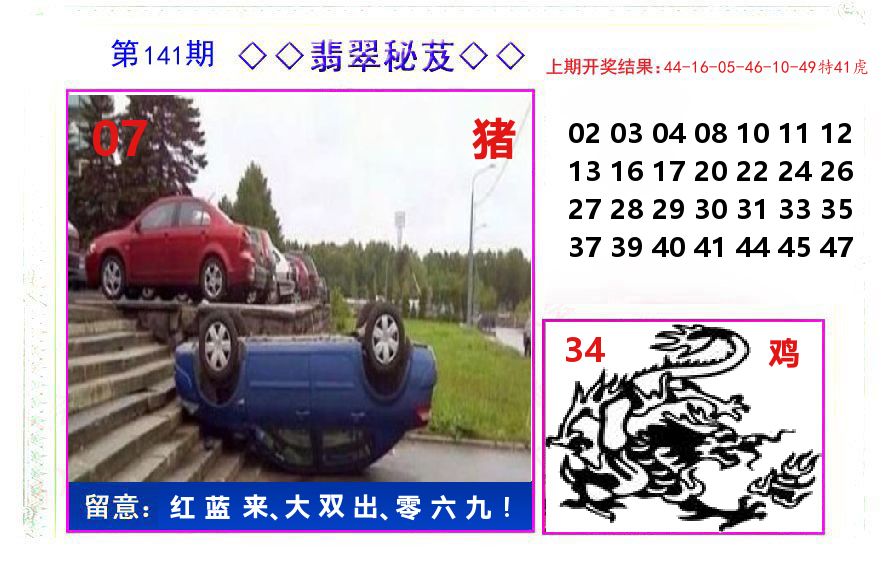 翡翠秘芨 第141期
