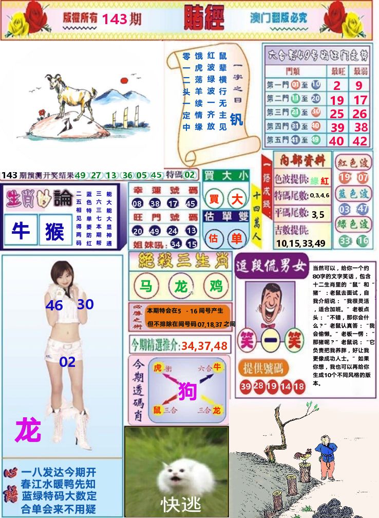 澳门赌经 第143期