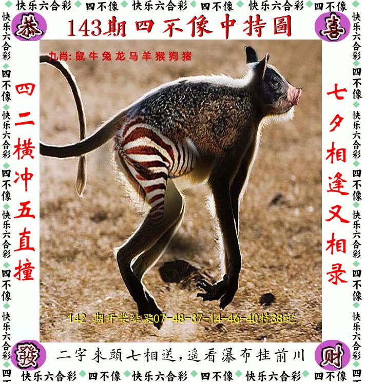 四不像 第143期
