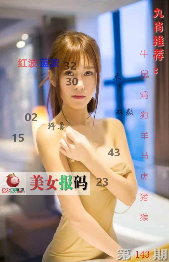 美女报码 第143期