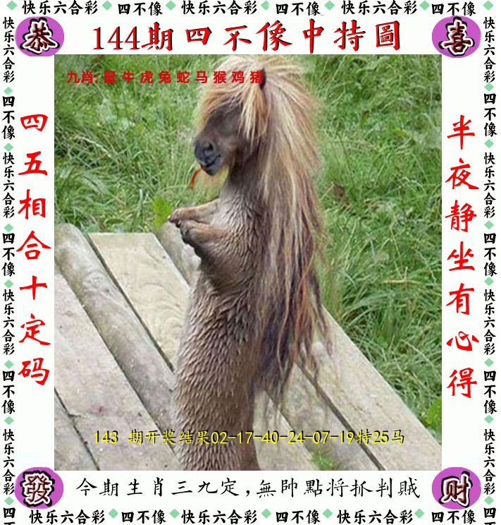 四不像 第144期