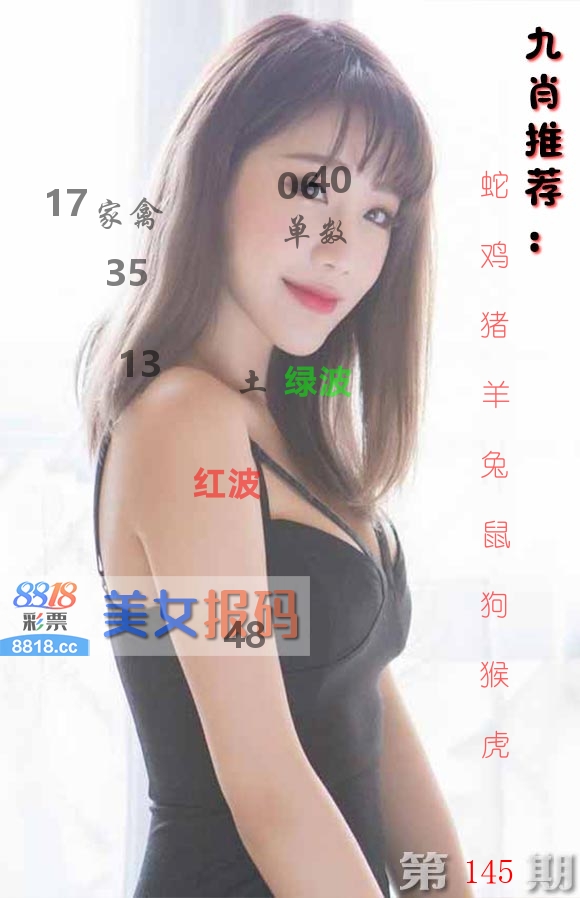 美女报码 第145期