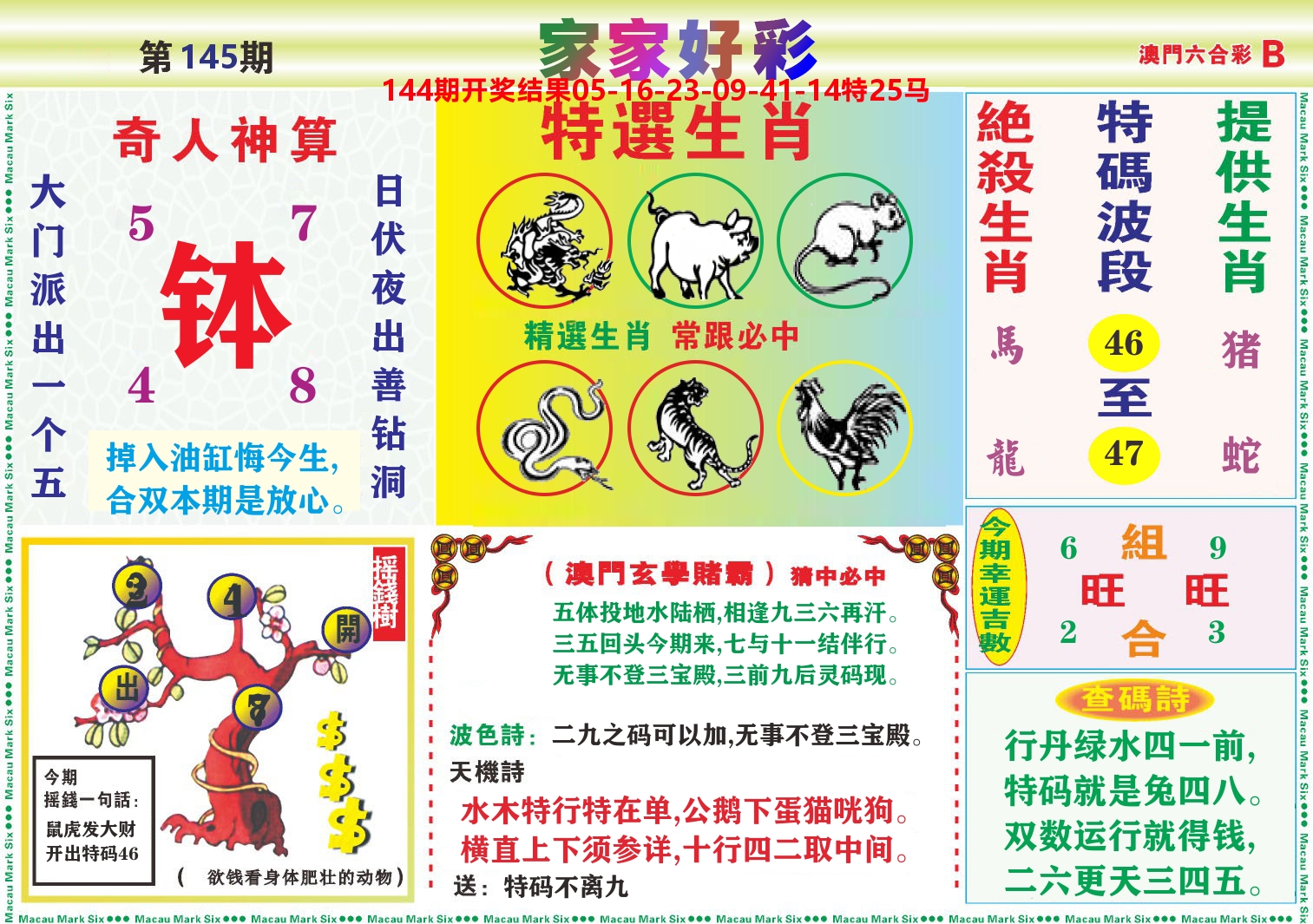 家家好彩B 第145期