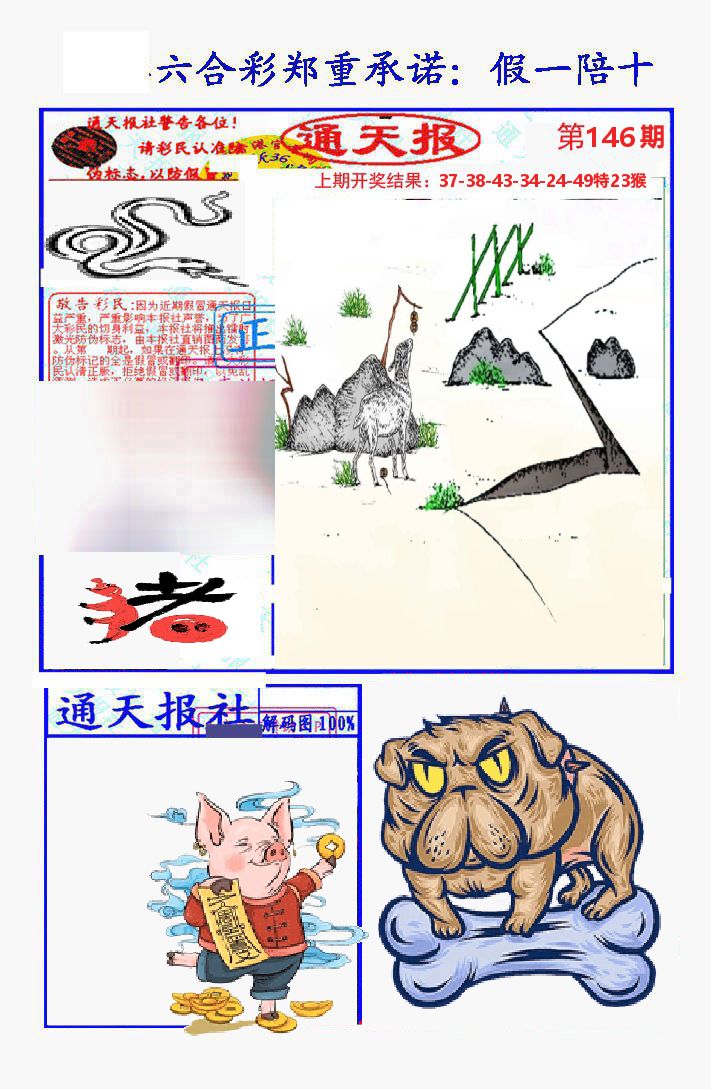 通天报 第146期