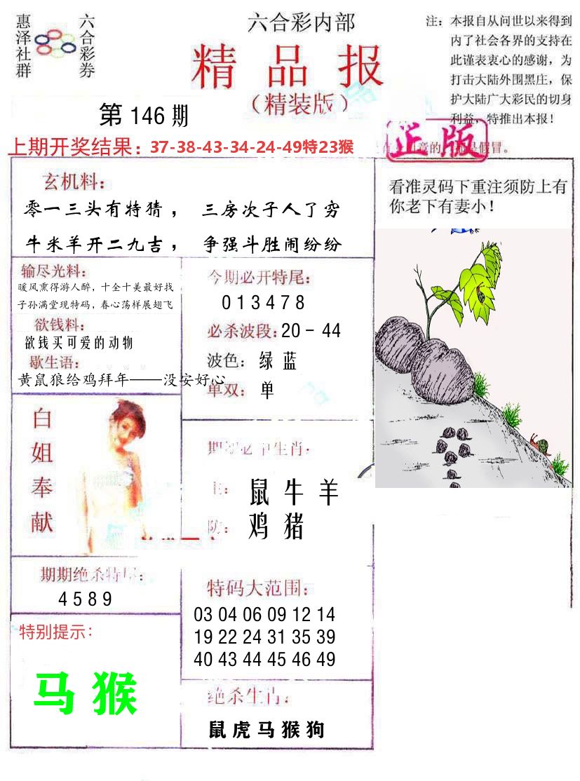 精品报 第146期