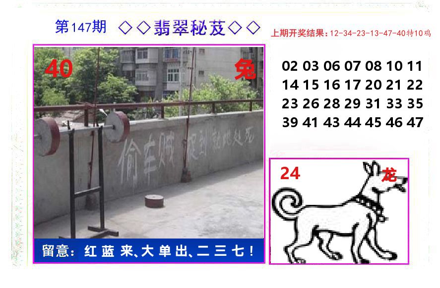 翡翠秘芨 第147期