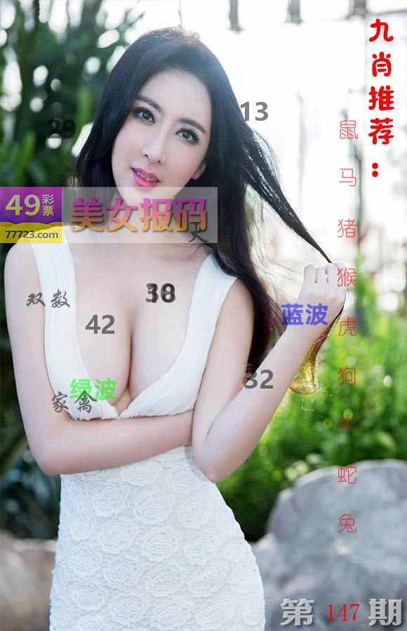 美女报码 第147期