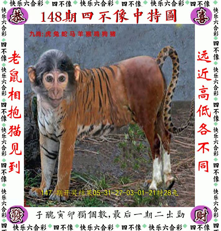 四不像 第148期