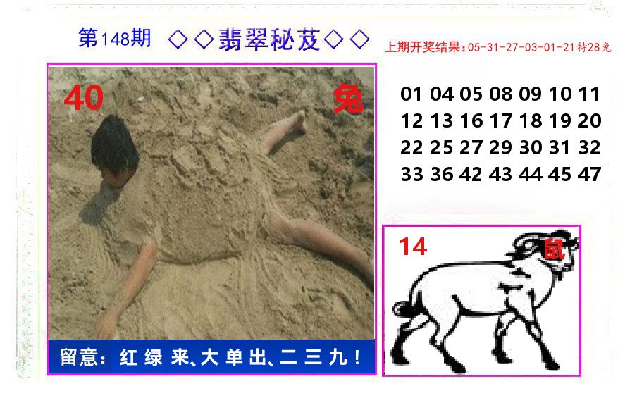 翡翠秘芨 第148期
