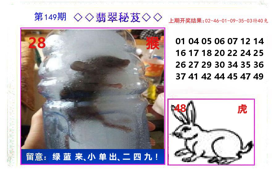 翡翠秘芨 第149期