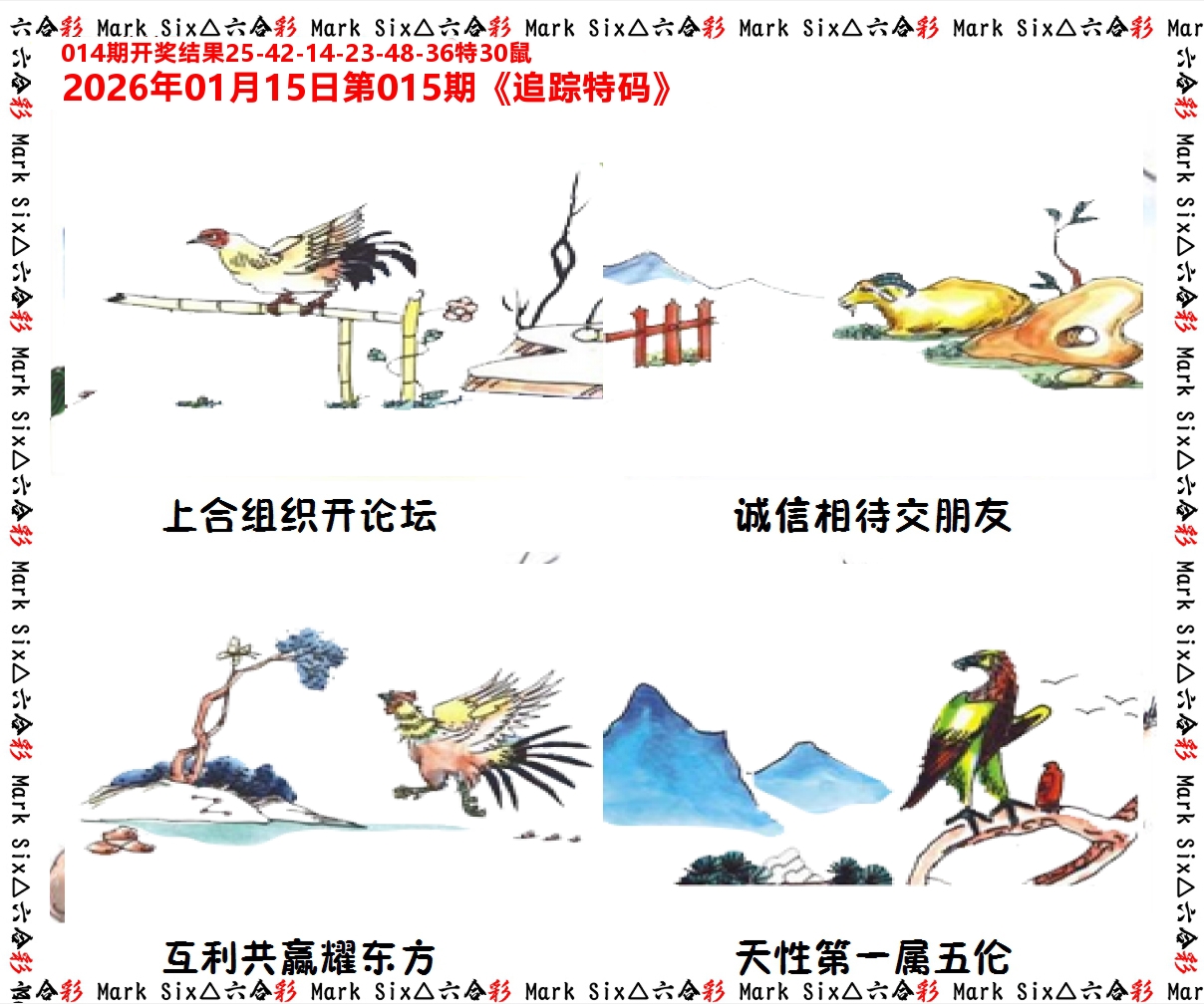 追踪特码 第15期