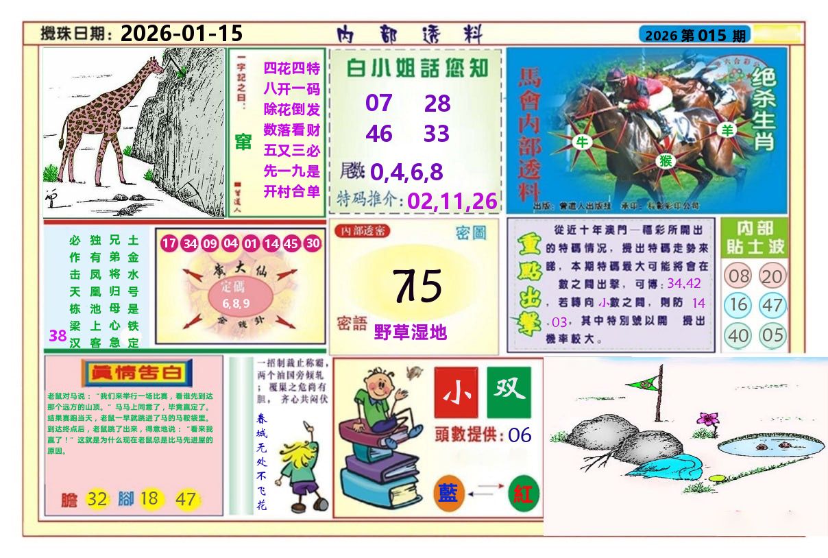 澳门内部透料A 第15期