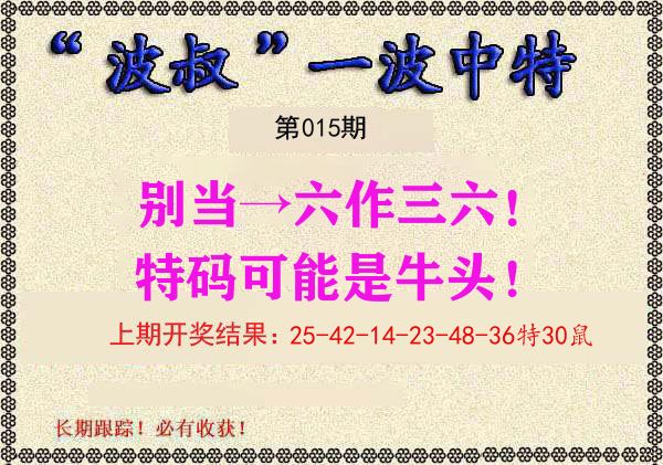 波叔中特 第15期