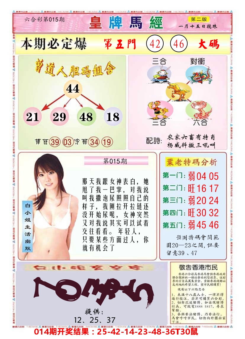澳门皇牌马经B 第15期