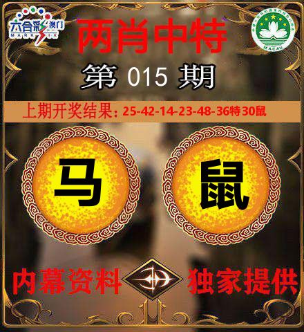两肖中特 第15期