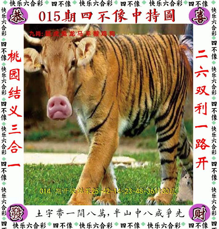 四不像 第15期