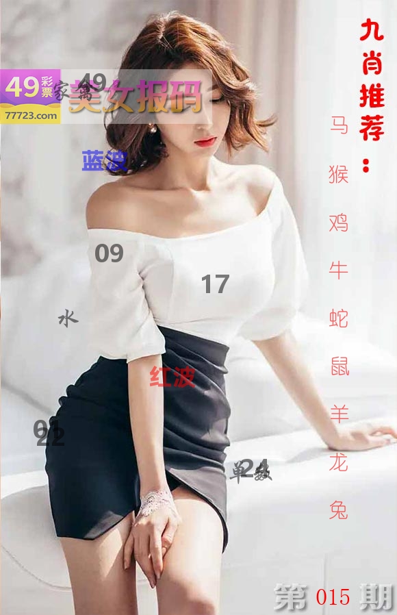 美女报码 第15期