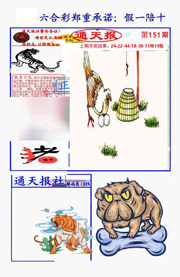 通天报 第151期