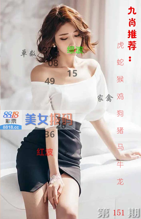 美女报码 第151期