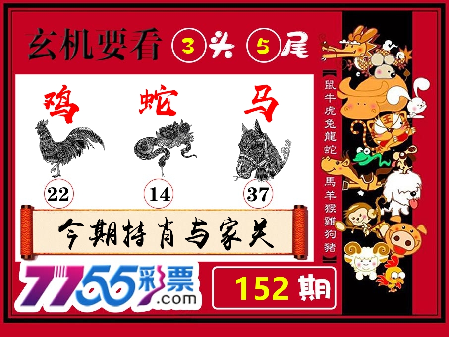 玄机要看 第152期