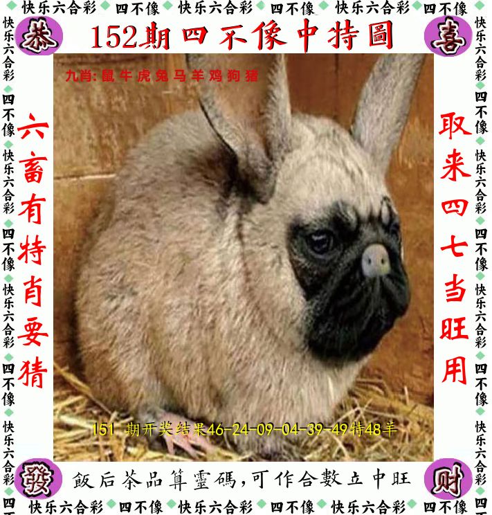 图片资料正在更新中……