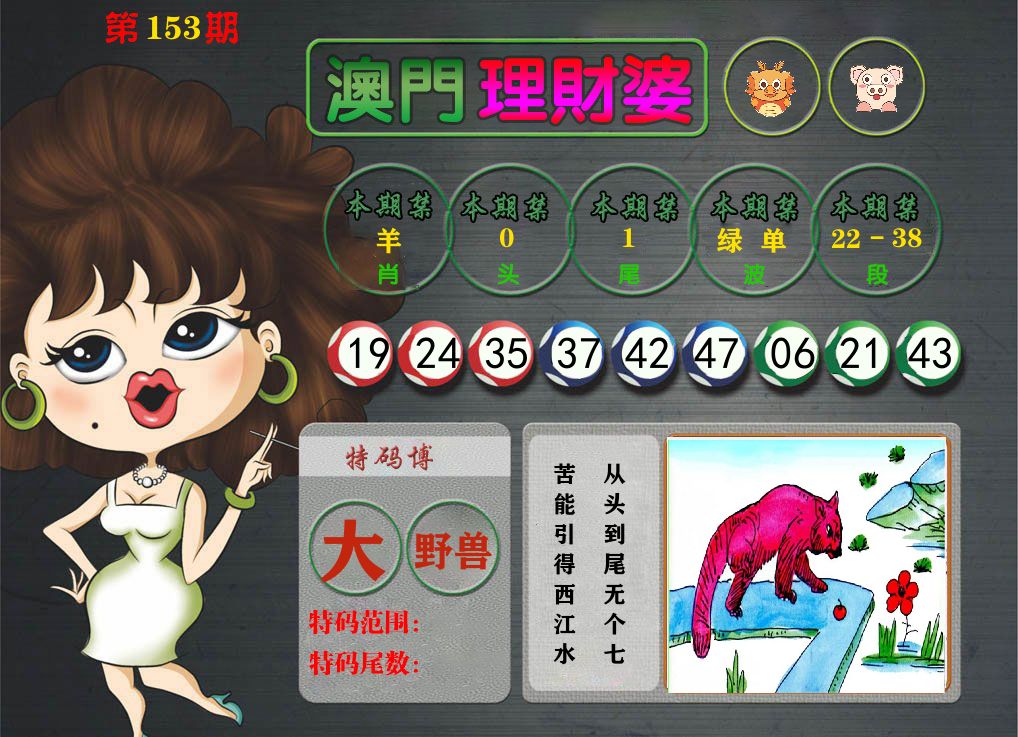 理财婆 第153期