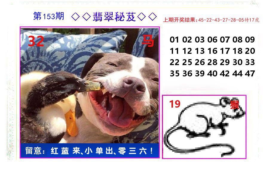 翡翠秘芨 第153期
