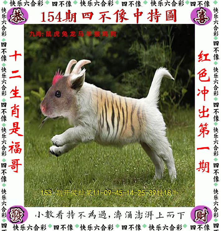 四不像 第154期