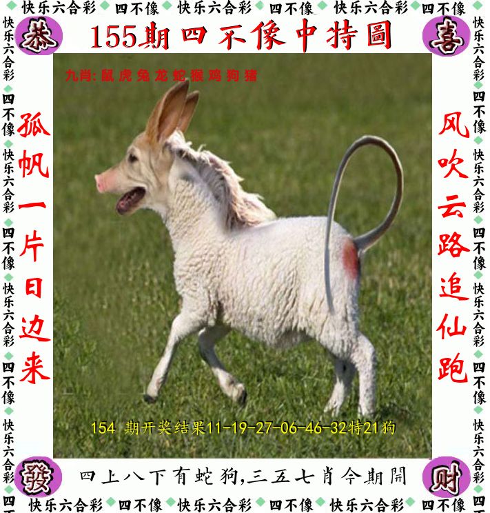 四不像 第155期